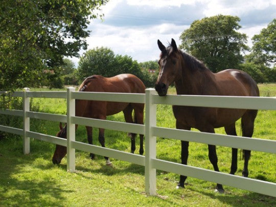 Steel Pipe Horse Fence, Portable Horse Fencing, Horse Fence Flexible