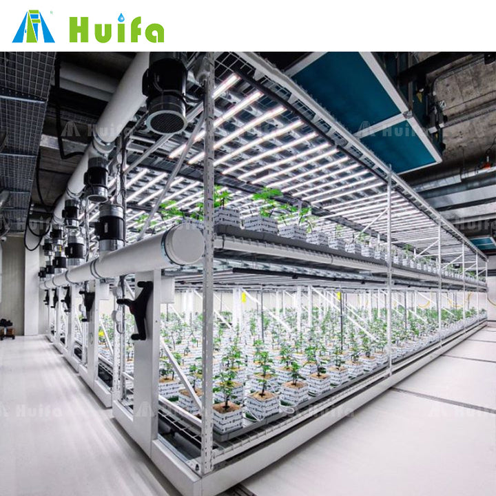 Total Turnkey Solutions Vertical Farms Indoor Grow Covering Led Lighting Growing Systems Irrigation Fertigation Climate Control