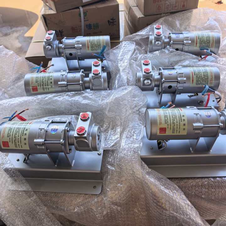lpg Cylinder Filing Pump LPG Transfer Pump Portable DC 12v lpg Gas Transfer