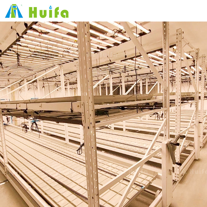 Total Turnkey Solutions Vertical Farms Indoor Grow Covering Led Lighting Growing Systems Irrigation Fertigation Climate Control