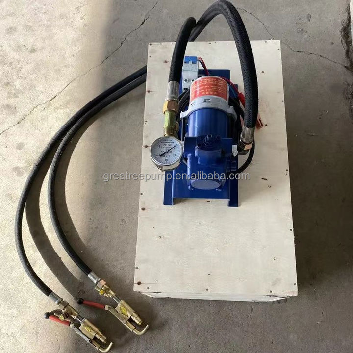 China 12v DC LPG Gas Transfer Pump Cylinder to Cylinder Portable Mini Lpg Gas Filling Transfer Pump 12v Dc for Cars