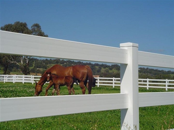 Steel Pipe Horse Fence, Portable Horse Fencing, Horse Fence Flexible