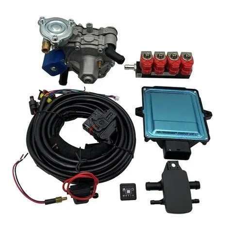 Act Automotive Petrol Convert to CNG LPG Gas Conversion Kits for Petrol Engine Car Sequential CNG Conversion Kit 4 Cylinder