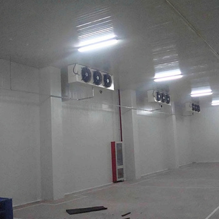 Industrial Prefabricated Steel Structure Cold Storage Turnkey Food Logistics Building C5 Anti-Corrosion Eurocode