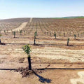 High Quality Full Set Low Cost Farm Drip Irrigation System for Sale