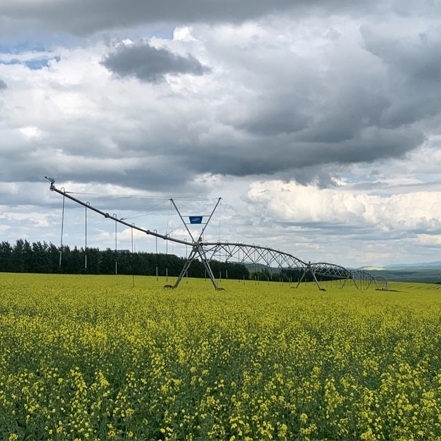 Huaxing Yulin Center Pivot Irrigation System for Sale and Solar Energy in Egypt Low Price for Maize Big Farmer Irrigation