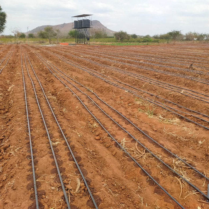 One Hecter 1 Acre Complete Kit Drip Irrigation System for Garlic Growing Field Agricultural Onion Drip Tape 16mm