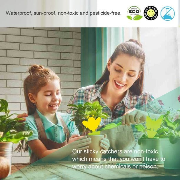 DB 18/48 Pack Sticky Fruit Fly and Fungus Gnat Killer Trap Non-Toxic Indoor Outdoor Pest Killer for Plant Protection