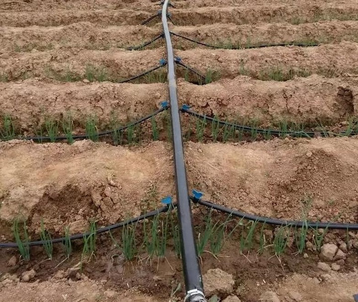 Design Drip Tape Drip Agricultural 1 Hectare Farm Irrigation System Drip Irrigation