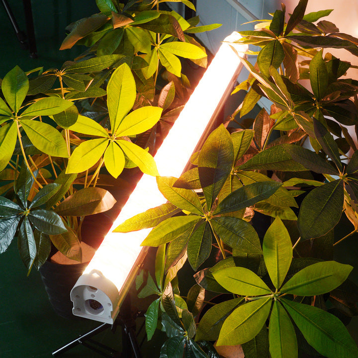 Foldable Under Canopy LED Grow Lights 120W Full Spectrum Foldable Design for Greenhouse Indoor Cultivation