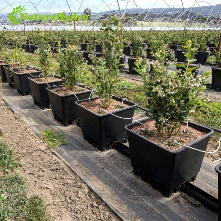 25L 30L 40L Substrate Bucket Blueberry Grow Pots