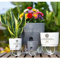 Self-absorbing Lazy Flowerpot Household Resin Transparent Water Storage Basin Double-Layer Customizable Hanging Cartoon