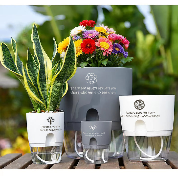 Self-absorbing Lazy Flowerpot Household Resin Transparent Water Storage Basin Double-Layer Customizable Hanging Cartoon