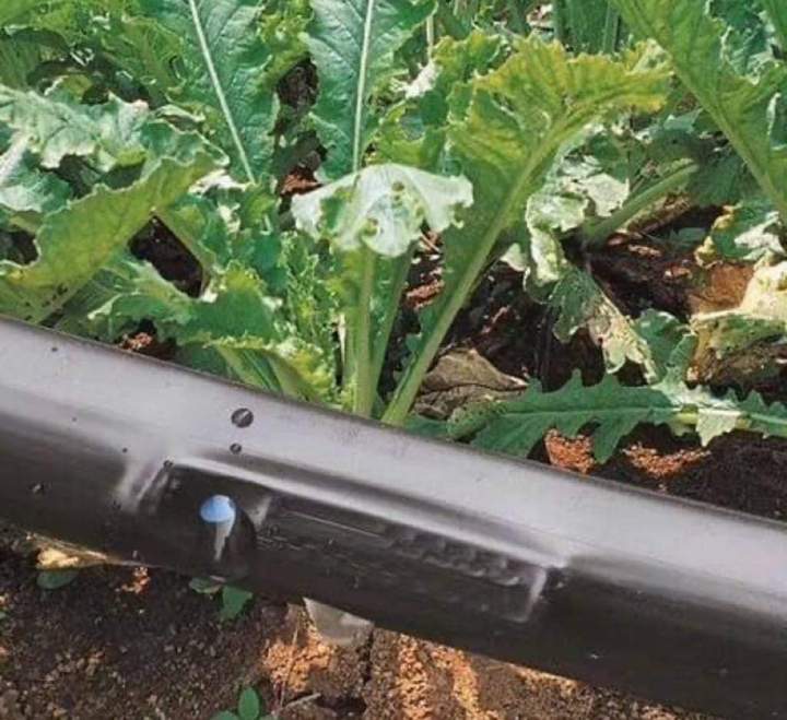 1 Hectare Agricultural Farmland Drip Irrigation System Complete Kit 16mm Inner Flat Emitter Double Holes Layflat Hose Drip Tape