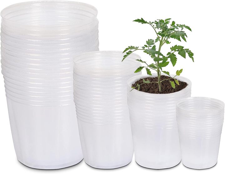4" Reinforced Clear Nursery Pots with Drainage Holes Plastic Transparent Pots for Plants