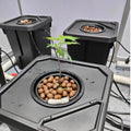 Food-Grade Plastic Hydroponic Buckets BPA-Free Dutch Barrels for Organic Tomato Pepper Cultivation