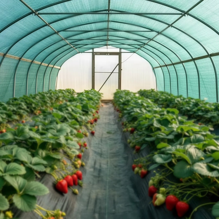 Factory Supplier HDPE Woven Shade Sail Agricultural Roof Outdoor Green Fence Sunscreen and Shading Net