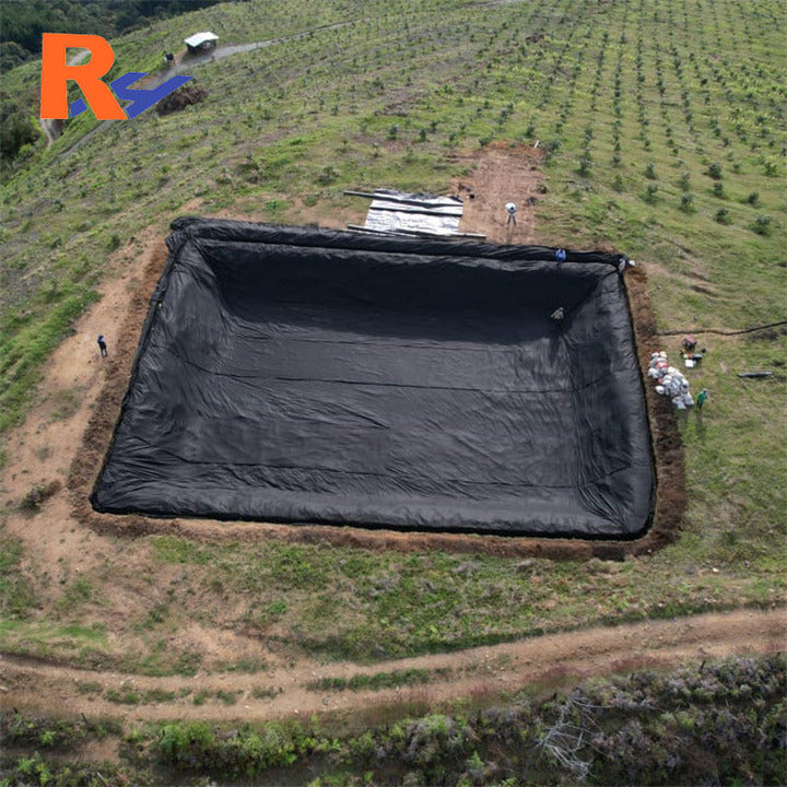 Geomembrane Sheet Price Dam Lining for Palm Oil Digester Biogas HDPE Geo Membrane Anaerobic Lagoon Biogas Plant Animal Waste