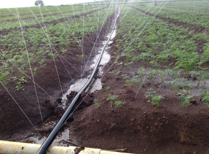 Farm Sprinkler Irrigation System Rain Hose Spray Irrigation