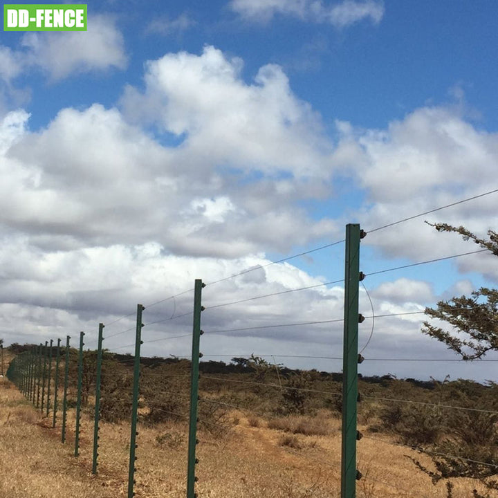 Perimeter Security Farm Fencing Electric Fence Alarm System Wire Posts Energizer Accessories Solar Electric Fence for Livestock
