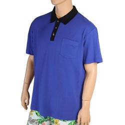 Custom Golf Polo Shirt 100% Polyester T Shirt Sublimation Blank Polo Tshirt T-Shirt Plus Size Men'S Polo Shirts For Men