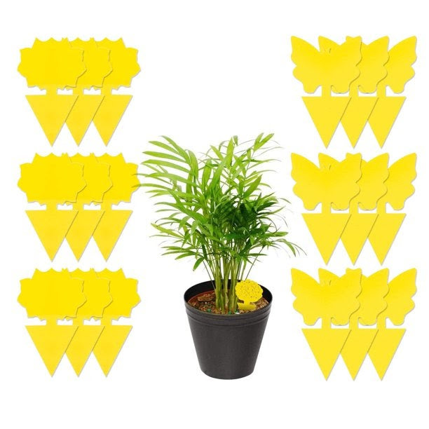 DB 18/48 Pack Sticky Fruit Fly and Fungus Gnat Killer Trap Non-Toxic Indoor Outdoor Pest Killer for Plant Protection