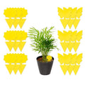 DB 18/48 Pack Sticky Fruit Fly and Fungus Gnat Killer Trap Non-Toxic Indoor Outdoor Pest Killer for Plant Protection