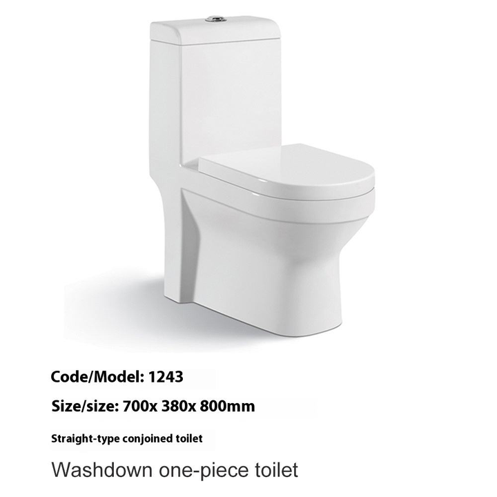 Modern Ceramic Toilet Dual-Flush with S-Trap Drainage Straight Row Horizontal Siammed for African Middle Eastern Bathrooms