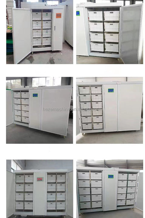 Automatic Mung Bean Sprout Machine Alfalfa Galic Barley Grass Cattle Green Fodder Bean Sprout Growing Machine