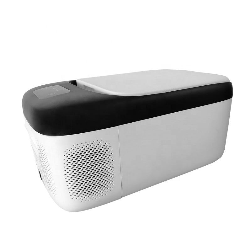 Car Freezer Hot Sale Cooler Box Portable 12V 24V Car Refrigerator with high quality