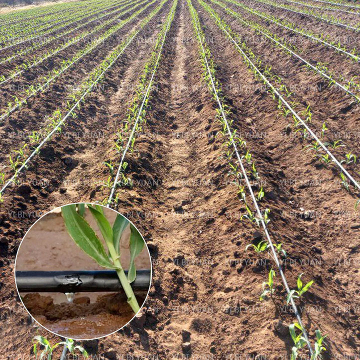 One Hecter 1 Acre Complete Kit Drip Irrigation System for Garlic Growing Field Agricultural Onion Drip Tape 16mm