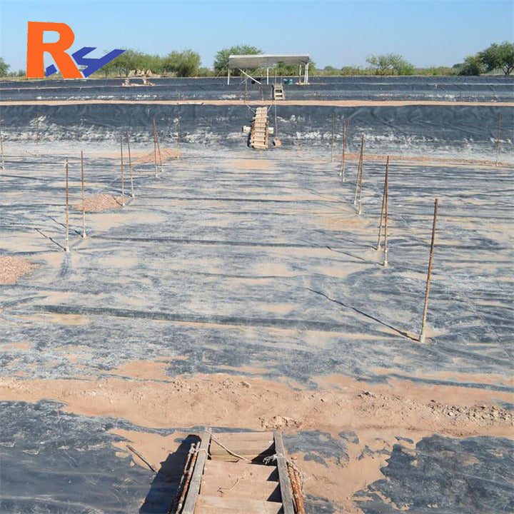 Geomembrane Sheet Price Dam Lining for Palm Oil Digester Biogas HDPE Geo Membrane Anaerobic Lagoon Biogas Plant Animal Waste