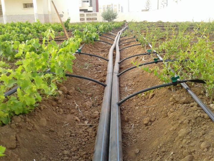 1 Hectare Irrigation Kit Agricultural Drip Tape System Farm Drip Irrigation 22 Hectares