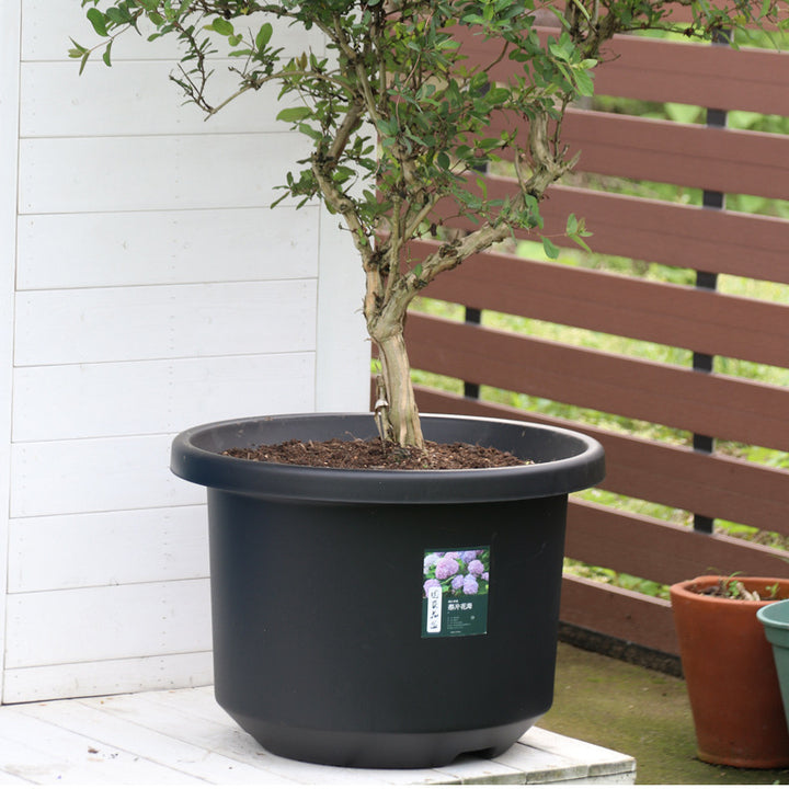 Outdoor Garden Durable Round Big Planters Vegetable Tree Plastic Large Flower Pot of Plants