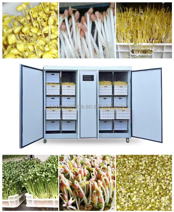 Automatic Mung Bean Sprout Machine Alfalfa Galic Barley Grass Cattle Green Fodder Bean Sprout Growing Machine