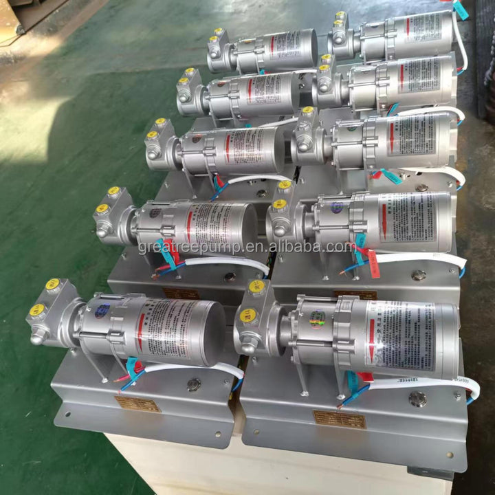 China 12v DC LPG Gas Transfer Pump Cylinder to Cylinder Portable Mini Lpg Gas Filling Transfer Pump 12v Dc for Cars
