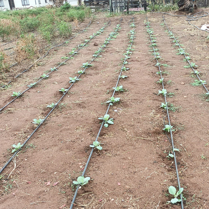1 Hectare Kit Drip Tape Irrigation System Sistema Filtro Agua Cintilla Conectores De Cinta Cinta Para Riego Por Goteo