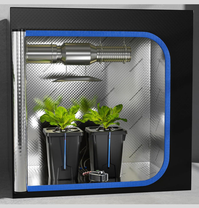 Durable Plastic Hydroponic Barrels Dutch Bucket System for Soilless Tomato and Cucumber Cultivation