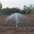 LYPLAST Mirco Spray Tape 32mm 50L/h Flow 0.2 Black 100m Drip Irrigation for Agriculture