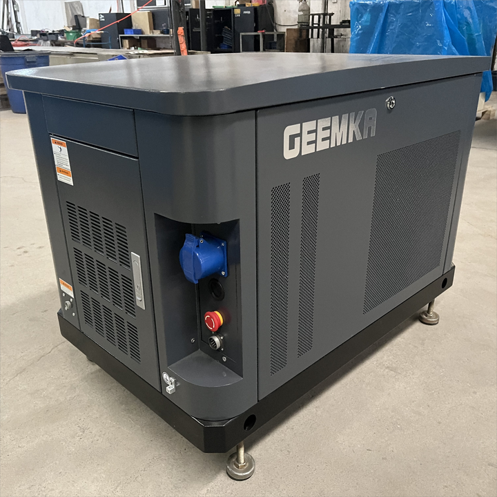 40KW 30KW 20KW 15KW 10KW Dual Fuel Silent Portable with Wheels LPG Gaoline NG Natural Gas Turbine Generators 25KVA 40KVA 50KVA