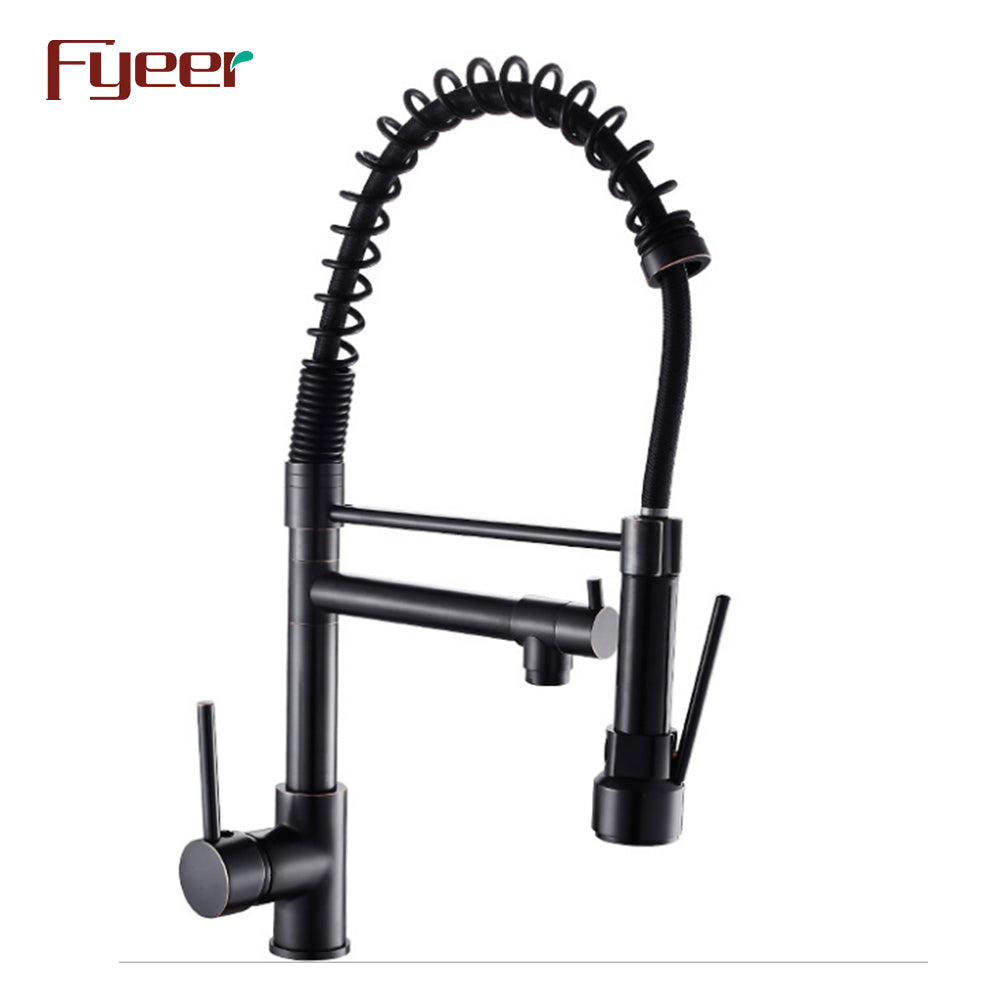 Fyeer 2 Way Black Painted Kitchen Sink Faucet with Pull Down Spray