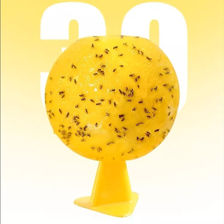 Fly Trap With Base Kitchen Bathroom Sticky Small Flying Insects Support Labeling Independent Packaging