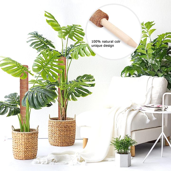 24 Inch Plant Stakes Indoor Garden Tomato Plant Climbing Growth Sticks Support for Creeper Plants Natural Moss Pole