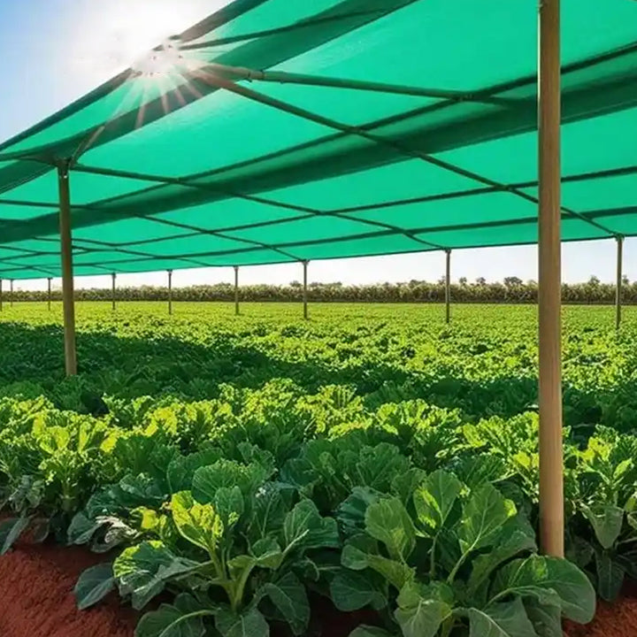 Factory Supplier HDPE Woven Shade Sail Agricultural Roof Outdoor Green Fence Sunscreen and Shading Net