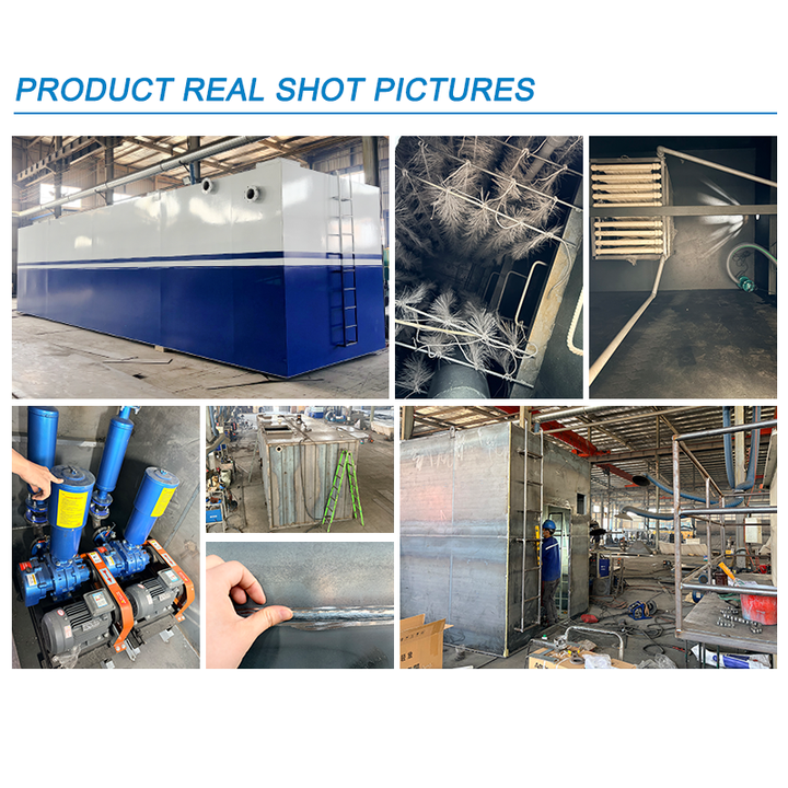 High Efficiency Effluent Purification for Dairy Biological Sewage Treatment Plant Farm Mini Sewage Treatment Plant