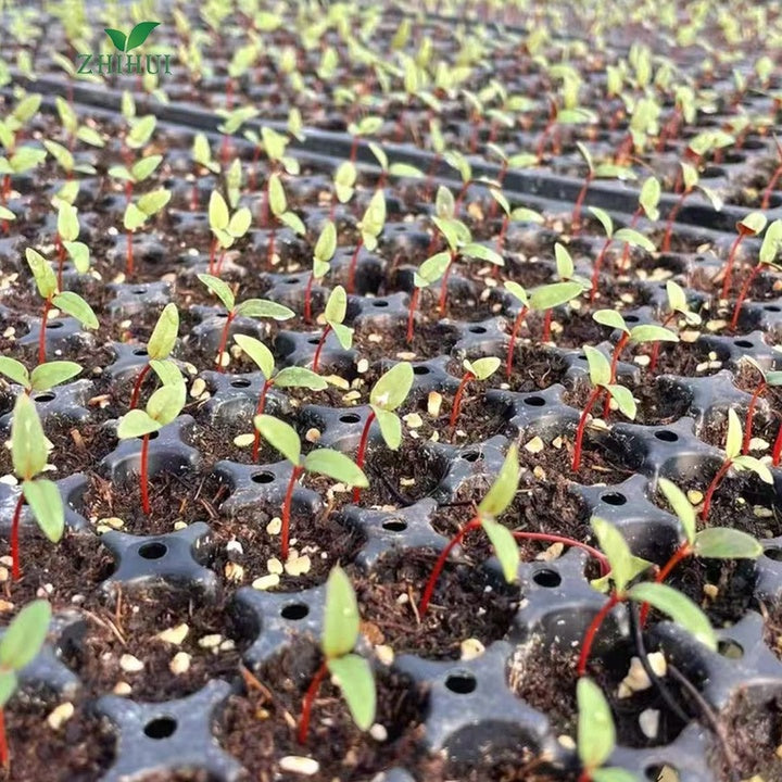 Factory Direct Sale High Quality Deep Hole Porous Multiple Specifications Planting Seed Trays