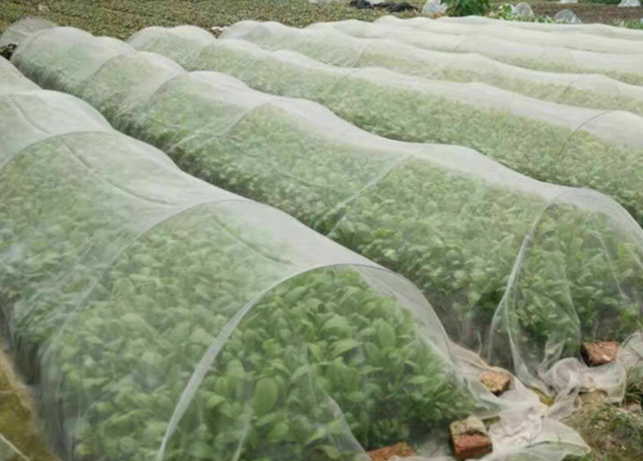 Factory Price Plastic Anti-Insect Screen Greenhouse Agricultural Farm Insect-Proof Mesh Net Fine Mesh Net