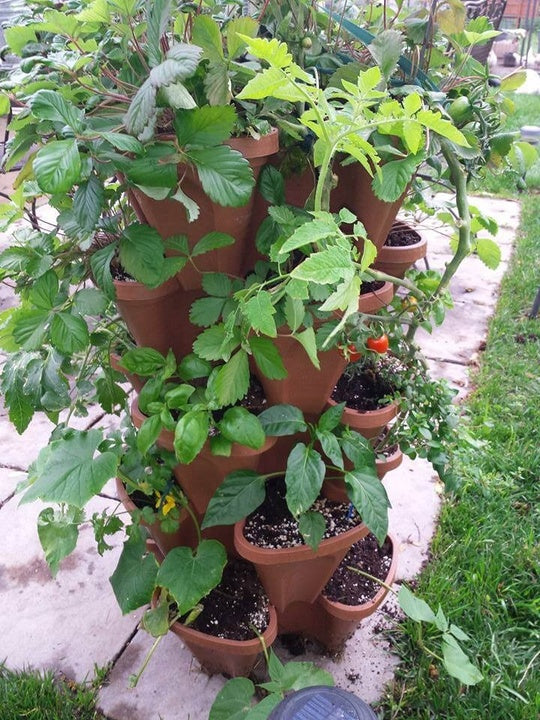 Self Watering Plant Pot Garden Vertical Stand Planter Plastic Pots for Selling