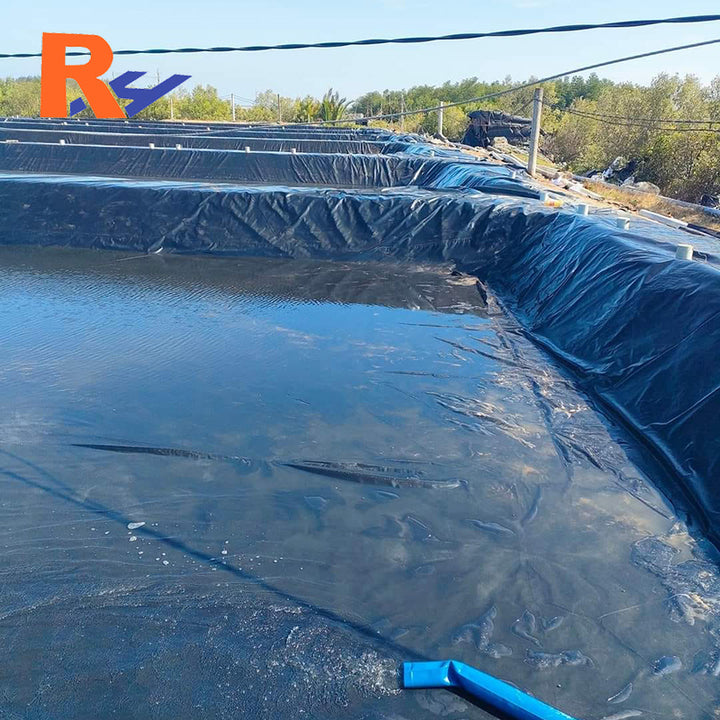 Biogas Storage Delivery and Treatment System Anaerobic Digester tank in Ground Biogas Reactor Geomembrane for Palm Oil Mills