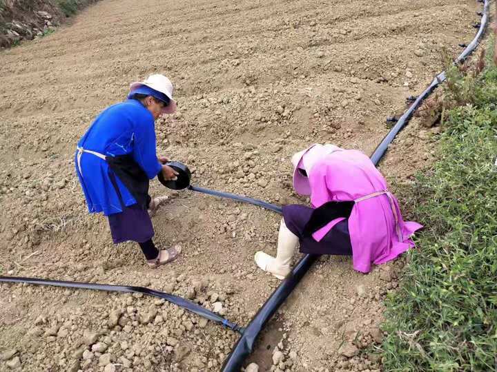 UV Resistant Agricultural Sprinkler for Rainwater Irrigation System Plastic Material Hose & Spray Tube Watering Irrigation Tool